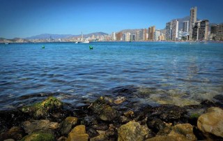 Hotel lido en Benidorm entorno