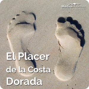 Hoteles en la costa dorada Medsur