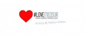 Logotipo love medsur